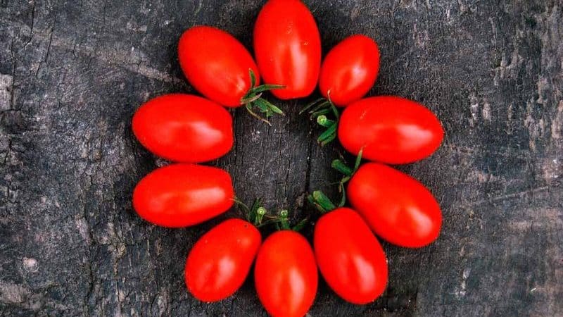Tomato Grozdeva - excellent yield and memorable taste