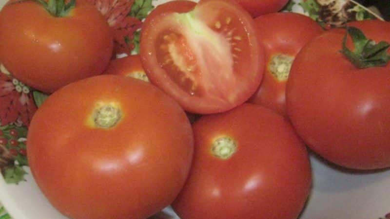 Does the Lakomka tomato live up to its name and what do vegetable growers say about the variety?