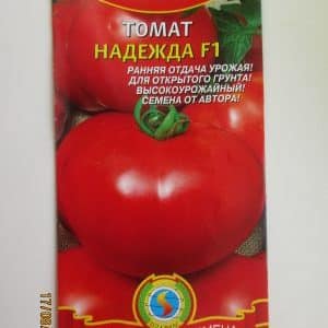 How to grow a Nadezhda f1 tomato: fast-growing, early-ripening and rewarding with a rich harvest