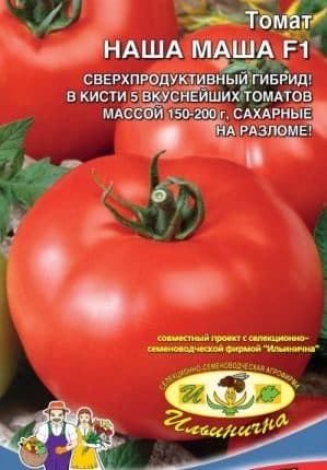 A guide for beginner gardeners: growing hybrid tomato Nasha Masha f1