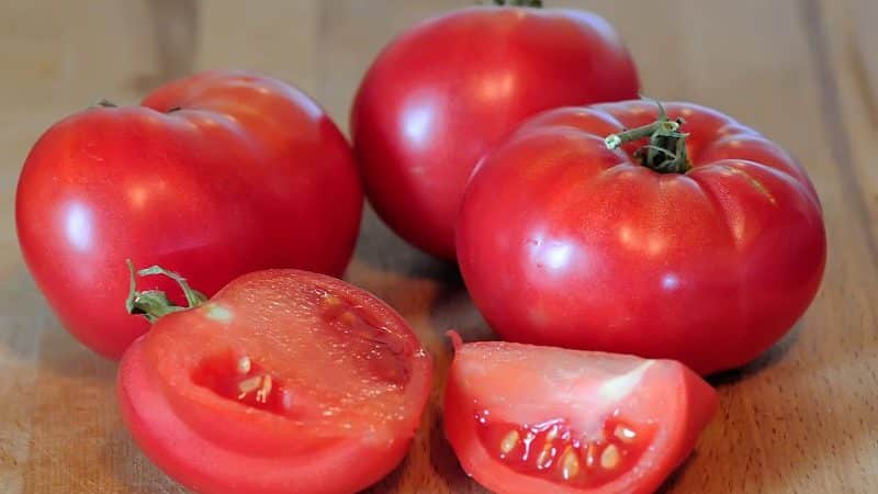 Why farmers love the Orange Elephant tomato so much