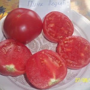 Sweet hybrid variety of pink tomato Pink Lady f1: what is good and why it is worth trying to grow it