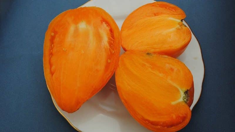 Tasty and time-tested tomato Heart of Ashgabat: review of the variety and the basics of its cultivation