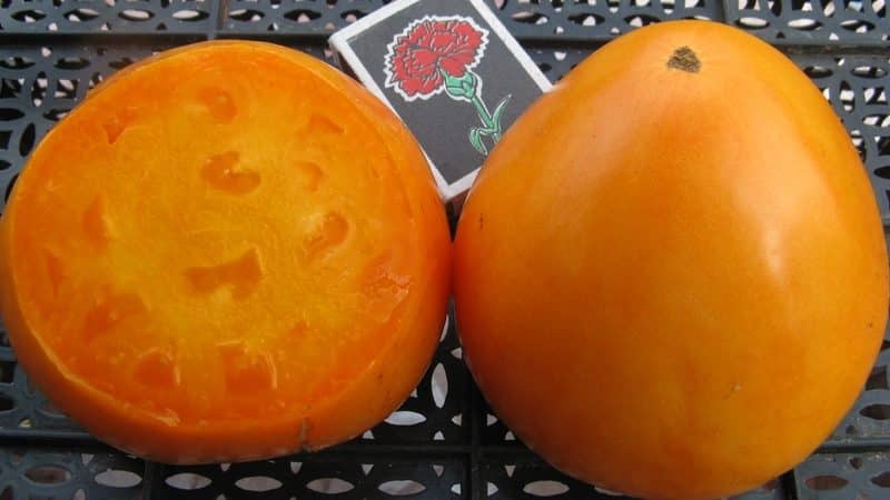 Tasty and time-tested tomato Heart of Ashgabat: review of the variety and the basics of its cultivation