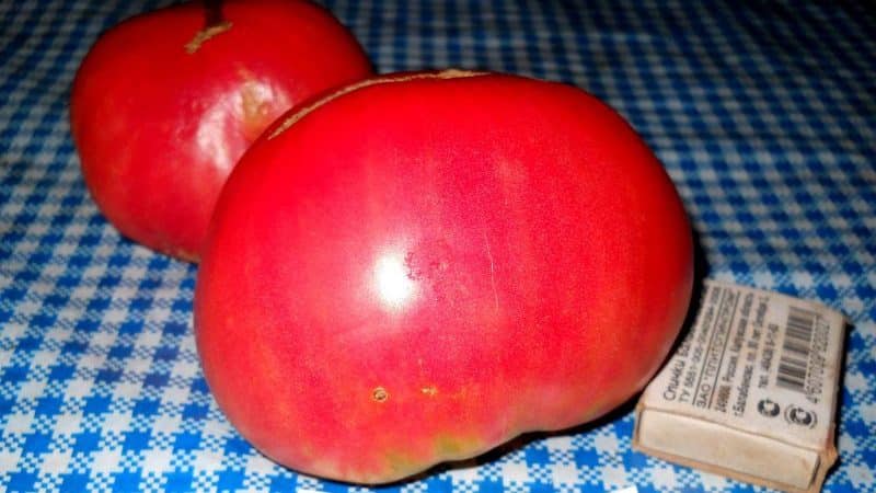 Large-fruited variety with a delicate taste for dietary nutrition - Tsar Bell tomato