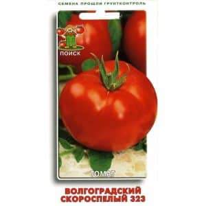 How to grow Volgograd early ripening tomato 323 and how it will please the vegetable grower