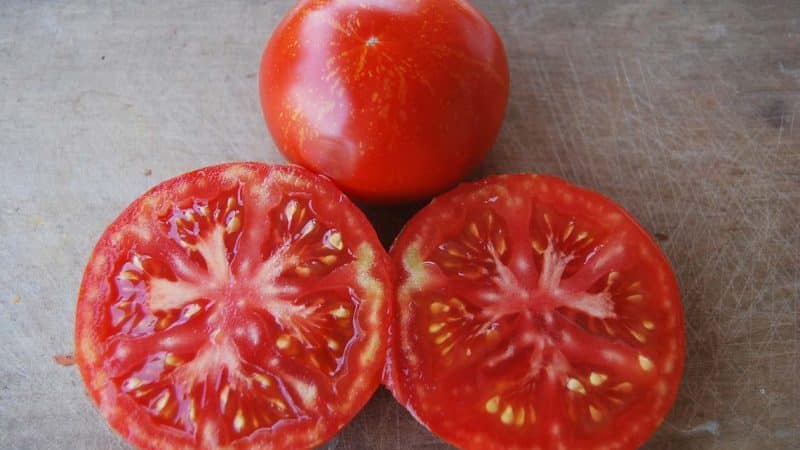 Recommendations for caring for tomato outbreak: what can affect yield