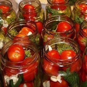 Top 10 unusual tomato recipes for the winter: how to cook tasty tomatoes and roll them correctly