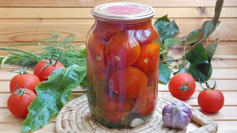 Top 10 unusual tomato recipes for the winter: how to cook tasty tomatoes and roll them correctly