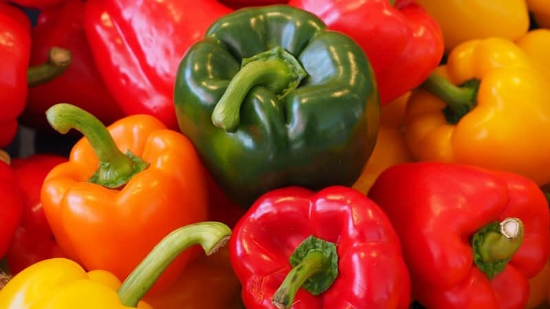 Top best early varieties of sweet peppers for open ground and greenhouses