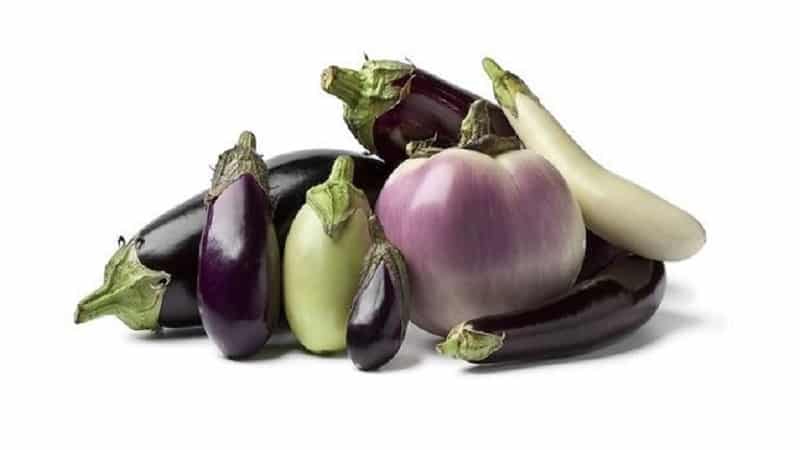 What are the health benefits and harms of eggplants?