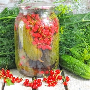 Tasty and easy to pickle cucumbers with vinegar for the winter in jars