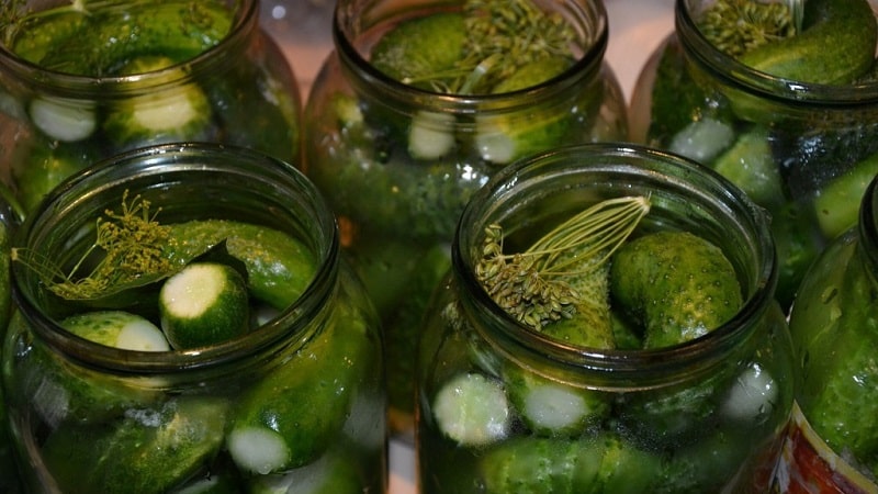 Tasty and easy to pickle cucumbers with vinegar for the winter in jars