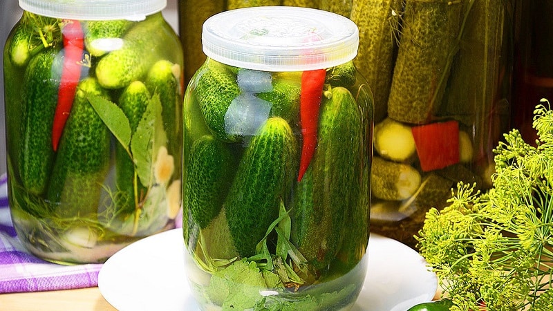 Tasty and easy to pickle cucumbers with vinegar for the winter in jars