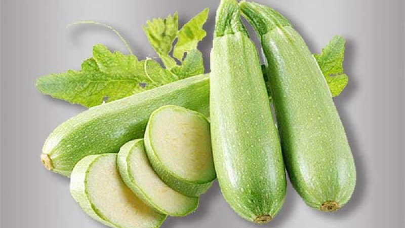 We grow disease-resistant Aral zucchini correctly and break yield records