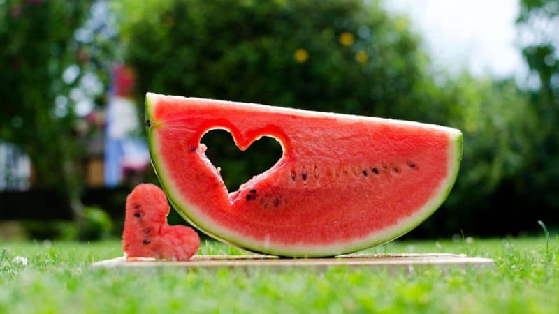 Is watermelon a diuretic or not: diuretic properties and rules of use