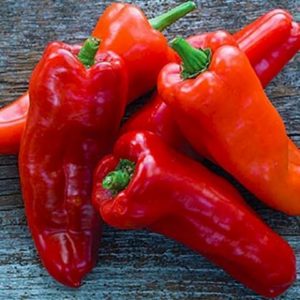 Review of thick-walled and high-yielding Tusk pepper: what kind of variety is it and how to grow it on your site