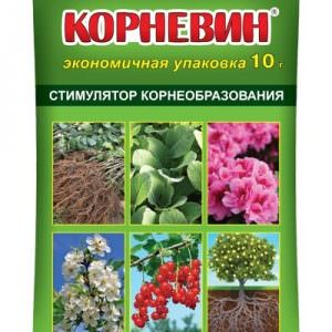 Review of thick-walled and high-yielding Tusk pepper: what kind of variety is it and how to grow it on your site