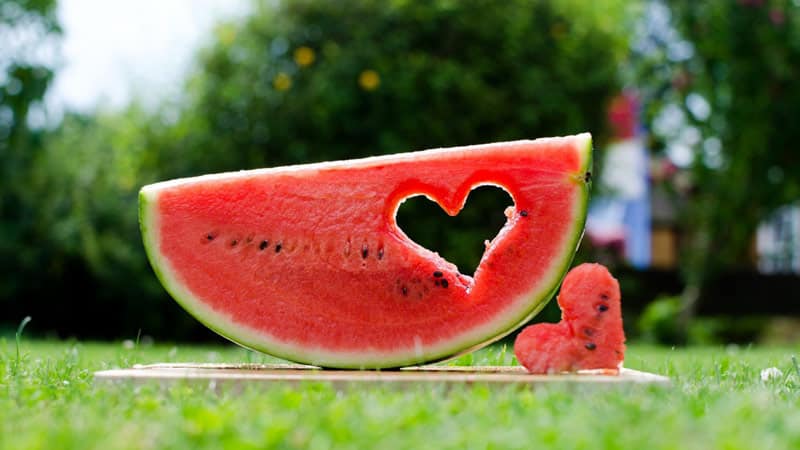 A question that worries many: why is watermelon a berry?