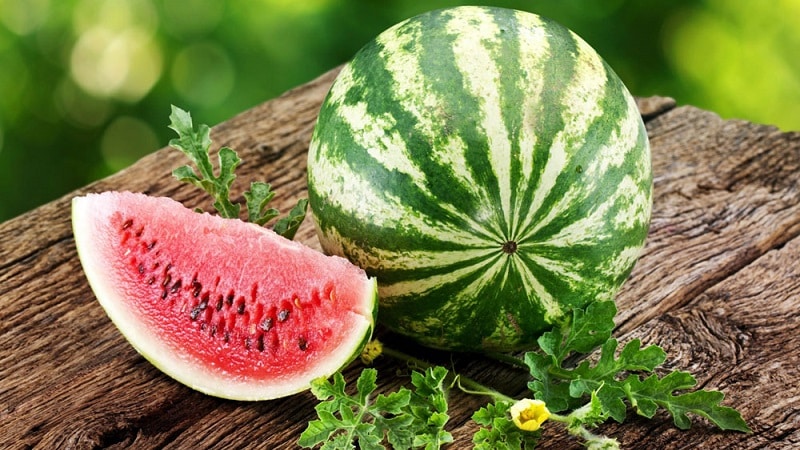 A question that worries many: why is watermelon a berry?