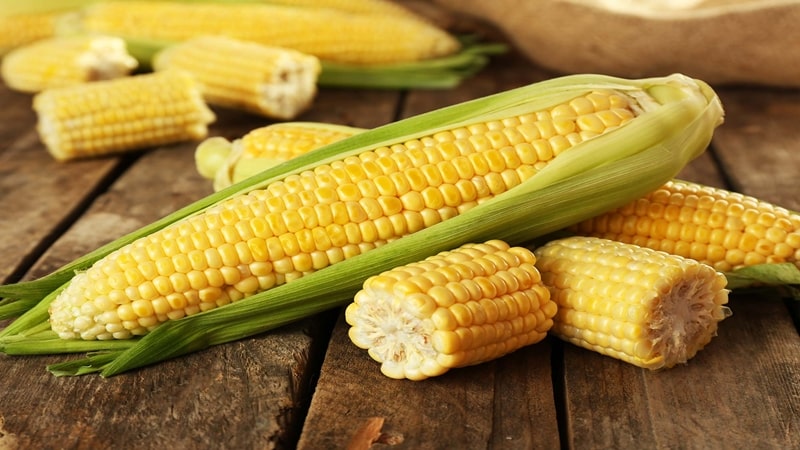 How to properly prepare pickled corn on the cob for the winter: the best recipes