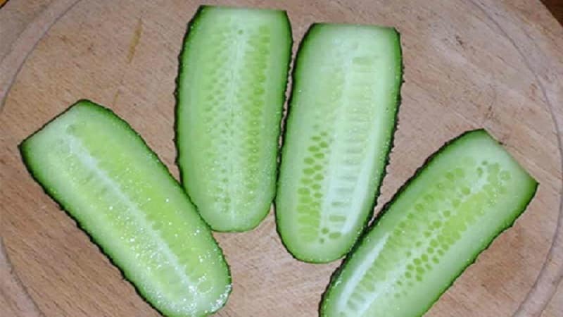 Early ripe hybrid of Bettina cucumbers for greenhouses, open ground and growing on a windowsill