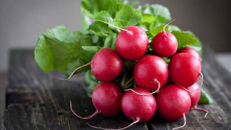 Early ripening and very popular among summer residents, Sora radish