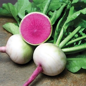 Unusual-looking and pleasant-tasting watermelon radish: why it’s good and how to grow it