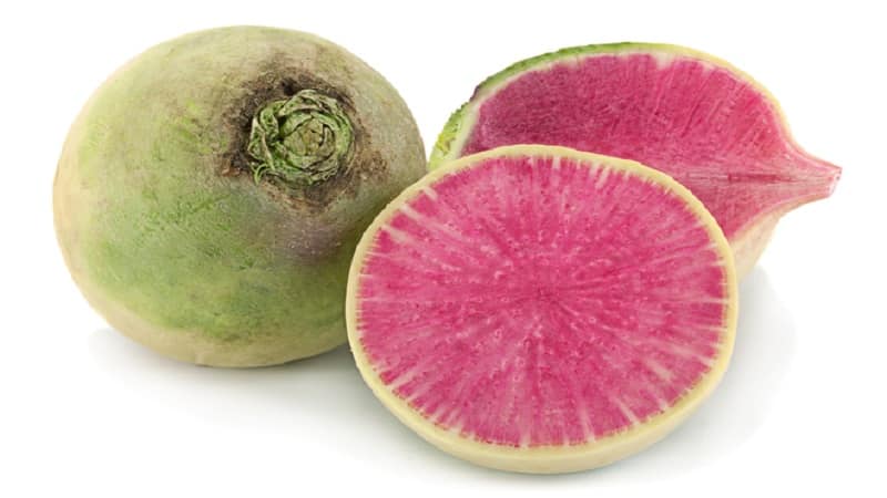 Unusual-looking and pleasant-tasting watermelon radish: why it’s good and how to grow it