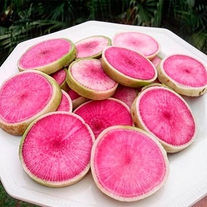 Unusual-looking and pleasant-tasting watermelon radish: why it’s good and how to grow it
