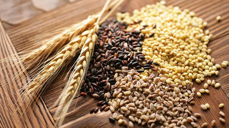 Is gluten really that bad and is it found in rye?