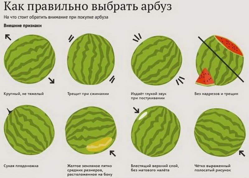 Simple and quick recipes for pickled watermelons