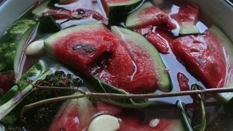 Simple and quick recipes for pickled watermelons