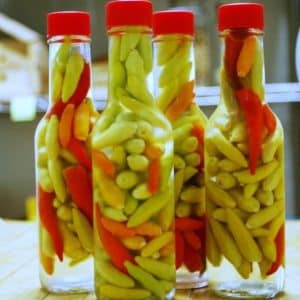 Top 10 best recipes for pickled Ogonyok peppers for the winter