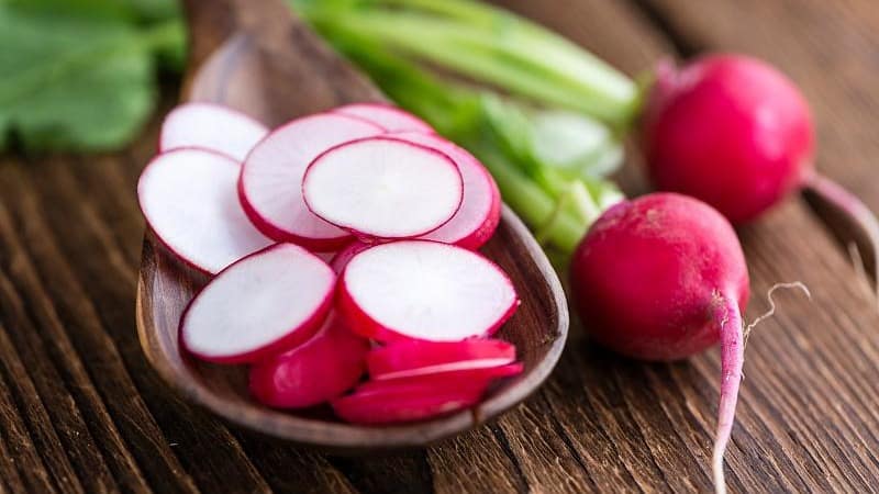 What is good about the Cherriet radish hybrid and why is it worth growing?