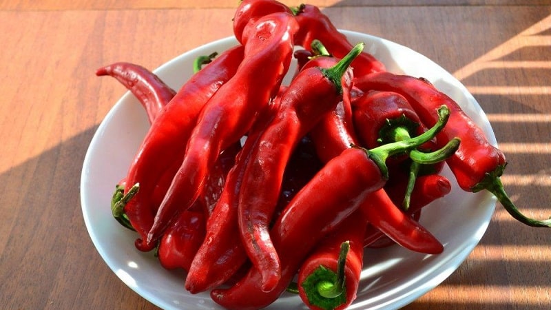 A selection of the best varieties of hot peppers and tips for choosing them