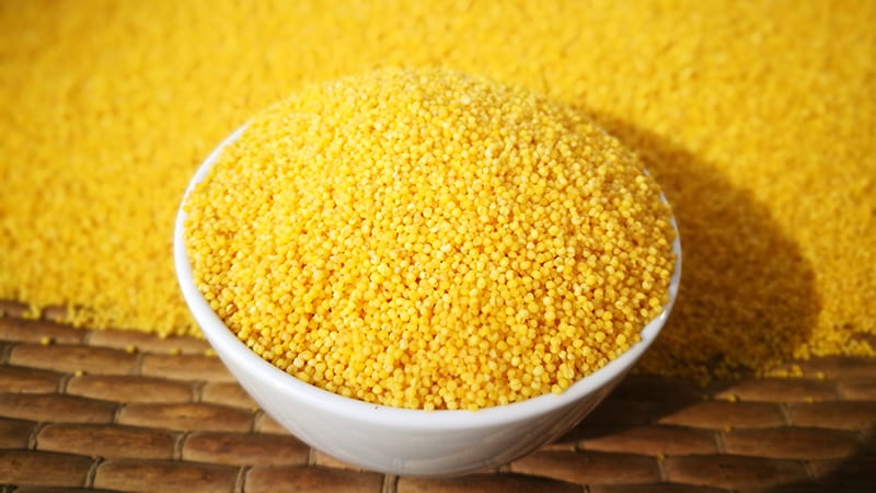 What grain is millet made from and why is it needed?