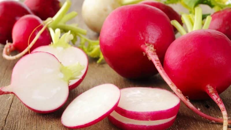 How to properly grow radishes on a windowsill in winter: step-by-step instructions and useful tips