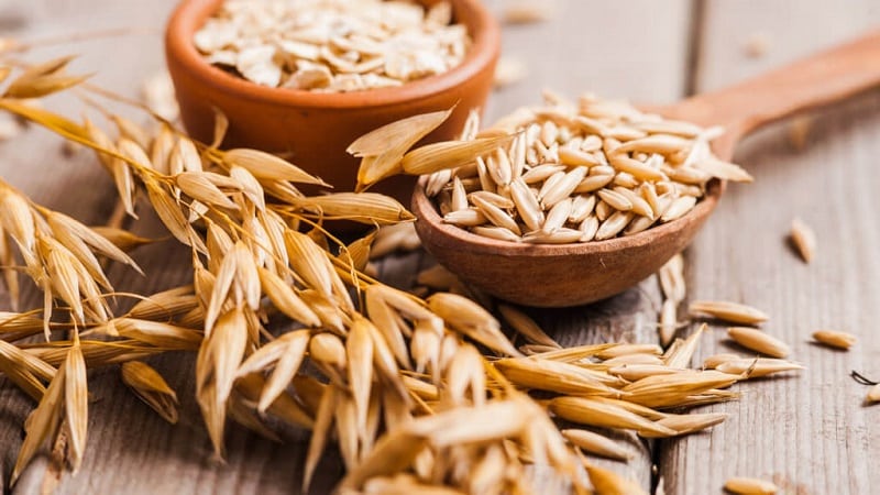 Hercules, oatmeal and oats - are they the same thing or is there a difference?