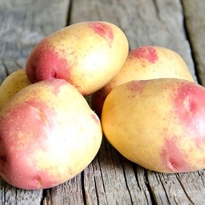 Unique in appearance and excellent in taste, the Picasso potato variety from Holland