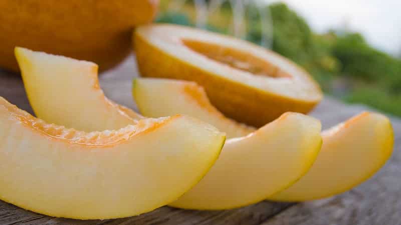 Can you eat melon if you have type 2 diabetes?