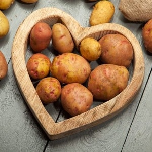A popular potato variety with excellent taste and good keeping quality Kyiv Svitanok