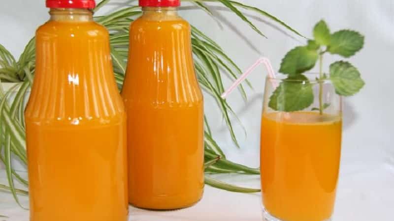 The benefits of pumpkin juice for women: get acquainted with the medicinal properties, prepare it yourself and drink it correctly