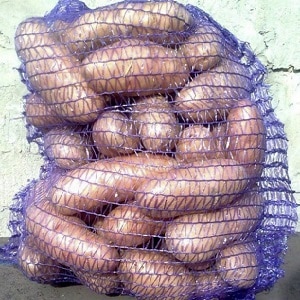 The legendary American potato variety, time-tested and adored by farmers