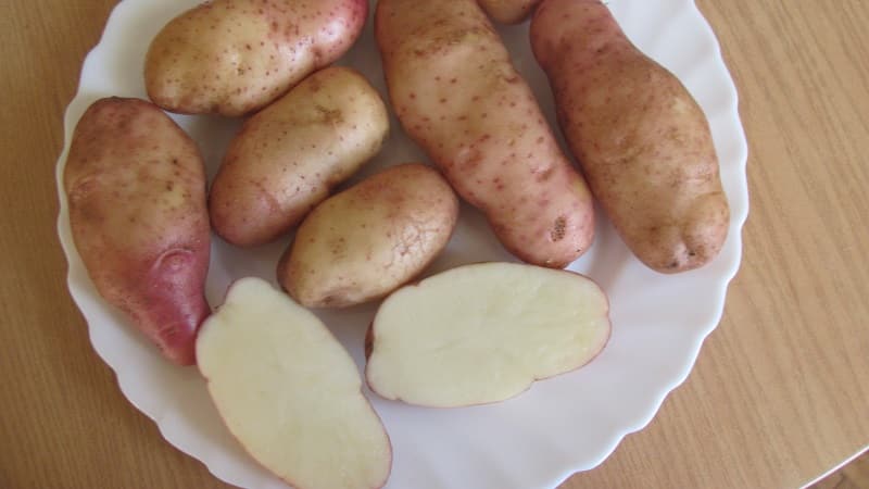 The legendary American potato variety, time-tested and adored by farmers