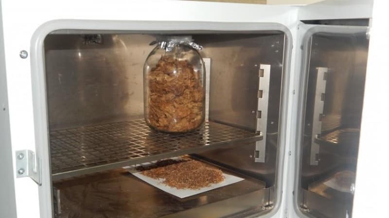 How to ferment tobacco at home: the best ways