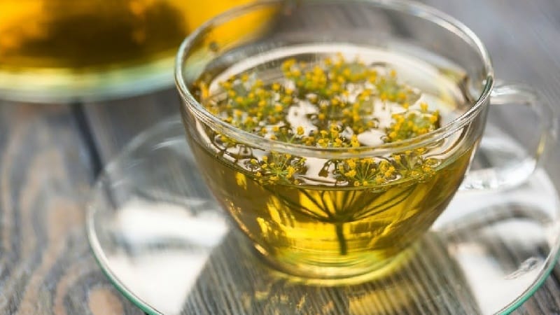 Can pregnant women eat dill: harm and benefits for the expectant mother and child