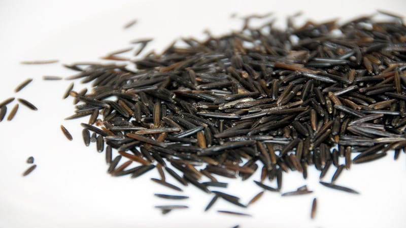 What is black rice and what are the benefits of it?