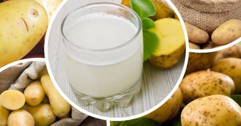 Is it possible to drink potato juice if you have gastritis and other gastrointestinal diseases?