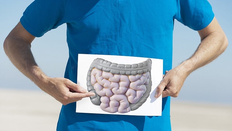 Cleaning the intestines with watermelon: recipes